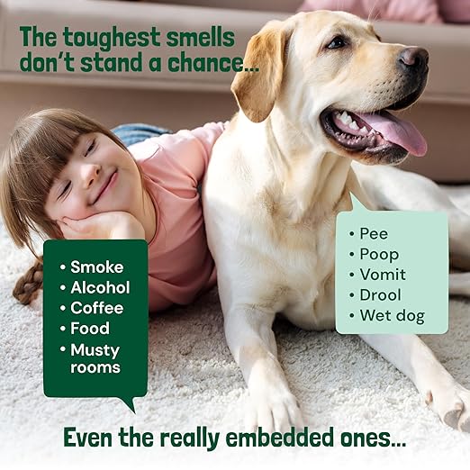 Sunny & Honey Carpet Freshener Powder - 20 Oz, Spring Mint - Pet & Kid Safe Rug Freshener Powder - Dual-Purpose Eucalyptus Mint Carpet Cleaner - Easy Vacuum Dry Rug Shampoo