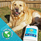 Pet Stain Odor Remover Professional Strength Powerful Eliminator for Tough Dog Cat Pet Urine Pee Poop Feces Vomit Slobber Drool Blood Wine Coffee Home Kennel Car RV Office (1 Gallon)