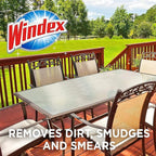 Windex Outdoor All-in-One Window Cleaner Pads Refill, 2 Count (Pack of 1)