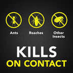 Raid Ant & Roach Killer Spray For Listed Bugs, Keeps Killing for Weeks, Lemon Scent, 17.5 oz