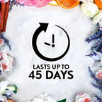 Air Wick Essential Mist, Essential Oil Diffuser Refill, Air Freshener, Fresh Water Breeze, 2.01 Fl Oz (Pack of 3)