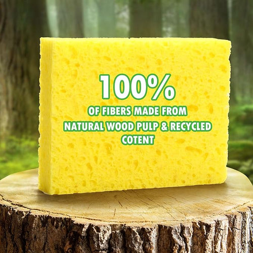12 Counts Multipurpose Kitchen Sponges Pack Compostable Biodegradable Compressed Cellulose Sponges 18X Super Absorbent POP UP Eco Sponge for Household Use
