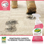 OdoBan Professional Cleaning BioStain and Odor Remover for Carpet and Upholstery, Made in the USA, 32 oz Ready-to-Use Spray 12-Pack