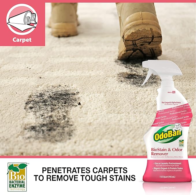 OdoBan Professional Cleaning BioStain and Odor Remover for Carpet and Upholstery, Made in the USA, 32 oz Ready-to-Use Spray 2-Pack