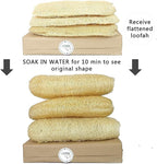 Natural Whole Loofah Sponge (Pack 3) - Exfoliating Body for Bath or Dish Scrubber for Kitchen - 100% Biodegradable Compostable, Dishwashing Scouring Pad, Zero Waste
