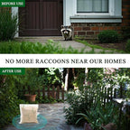 Natural Raccoon Repellent Granules | Eco-Friendly, Non-Toxic & Long-Lasting Protection with Garlic, Peppermint & Wintergreen Oils | Safe for Pets and Children |10-Pack (25g per Bag)
