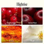 Preston Lane Luxury Dish Soap, Highrise Scent | Plant Powered Formula with Essential Oils | Tough on Grease, Gentle on Hands | Vegan, Cruelty Free, Clean Ingredients