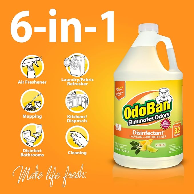 OdoBan Aroma Eliminator Set, Made in the USA, 10 Ounce Natural Oil Real Citrus Orange Air Freshener Spray, 1 Gallon Multipurpose Disinfectant Cleaning Concentrate, 14 Ounce Solid Scent Absorber