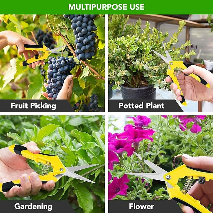 iPower 6.5 Inch Gardening Scissors Hand Pruner Pruning Shear for Gardening and Trimming, Heavy-Duty, Ultra Sharp Stainless Steel, Yellow, 6-Pack
