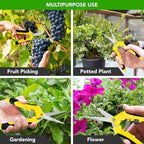iPower 6.5 Inch Gardening Scissors Hand Pruner Pruning Shear for Gardening and Trimming, Heavy-Duty, Ultra Sharp Stainless Steel, Yellow, 3-Pack