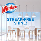 Windex Wipes Glass Cleaning Ammonia Free, Pre-Moistened Wipes for Cleaning All Glass Surfaces, Crystal Rain Fresh Scent, 25 Count (Pack of 2)