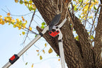 Corona Tools | Branch Cutter DualLINK Extendable Bypass Loppers | Tree Trimmer Cuts Branches up to 1 ¾-inches in Diameter | Handles Extend up to 37 ½inches | SL 4364, Silver