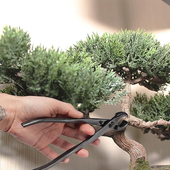 BambooMN Bonsai 8" Knob Cutter Tool - 10 Pieces