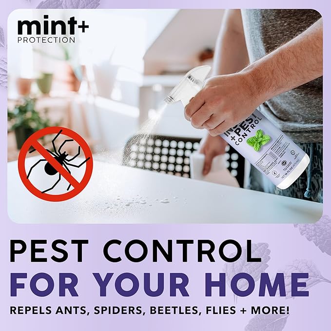 Mint+ Insect and Pest Control Spray, Residue-Free Bug Killer for Indoor & Outdoor Use, 16 oz (475mL)