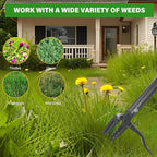 Weed Puller Tool, 4 Claw Stand Up Manual Weeder, Heavy Duty Weeding Tool with 60 inch Long Handle,Steel Head,Uprooting Dandelion Removal Gardening Tools for Farm Lawn Grass Removal