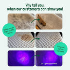 Sunny & Honey Carpet Cleaner Solution - 128 Fl Oz, Spring Mint Scent - Carpet Shampoo & Pet Stain Remover for Upholstery & Rugs, Works With Steam Cleaners