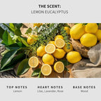 Lapew Lemon & Eucalyptus Scented Mop Soap - Luxury Floor Cleaner Concentrate for Mopping Tile, Laminate, Vinyl & Hardwood | Streak-Free, Low-Foam | 36 oz