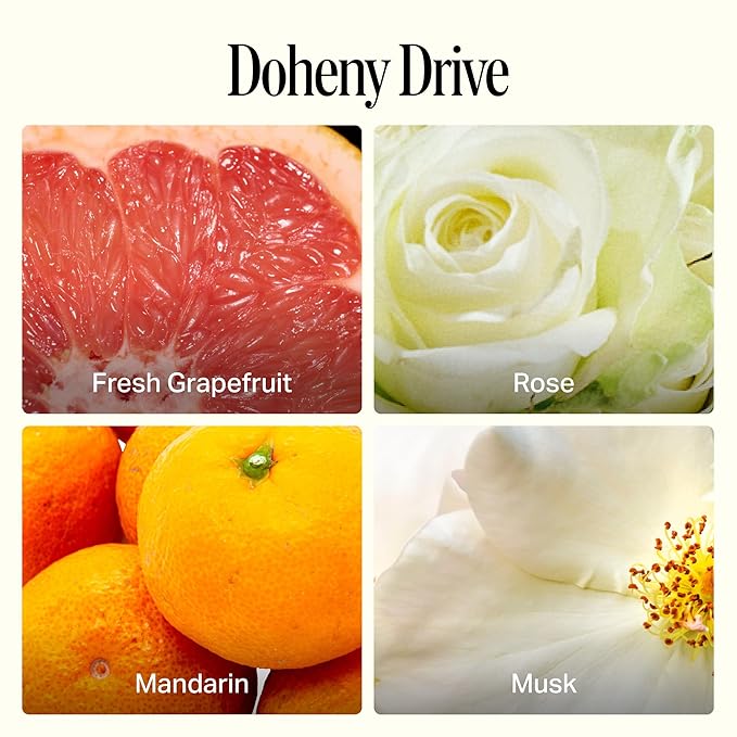 Preston Lane Luxury Dish Soap, Doheny Drive Scent | Plant Powered Formula with Essential Oils | Tough on Grease, Gentle on Hands | Vegan, Cruelty Free, Clean Ingredients