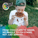 Shout Wipe & Go Instant Stain Remover Wipes, No Wash Required, Safe on Colorfast Washables, Travel & Baby Diaper Bag Essentials, Removes Grass, Coffee, Makeup & More, 12 Wipes (Pack of 1)