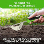 Garden Guru Dandelion Weeder Tool with Fulcrum - Rust Resistant Stainless Steel Weed Puller Weed Puller with Leverage Base, V-Shaped Fork Tip & Ergonomic Handle - for Planting & Weeding (2 Pack)