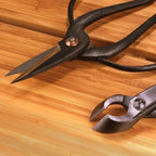 BambooMN Bonsai Basics Set - 8" Concave Cutter, 7" Heavy Duty Shear - 10 Sets
