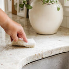 Full Circle Nutcase, Plant-Based Scrubber Sponges – Pack of 6 – 3 Walnut & 3 Coconut – Powerful Natural Sponges Made with Plants & Recycled Materials, Safe for Nonstick