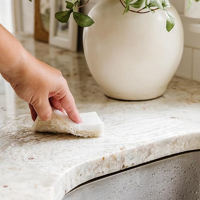 Full Circle Coconut Scrubber Sponges, Pack of 6 – Dual-Sided, Plant-Based Sponges Made with Coconut Shells, Cellulose & Recycled Materials, Safe for Nonstick Cookware
