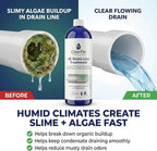 AC Drain Line Cleaner / 12 Month Supply | Safe Chlorine Free Non Toxic Formula with Natural Tea Tree Oil | HVAC Drain Line Solution for Tough Clogs & Buildup