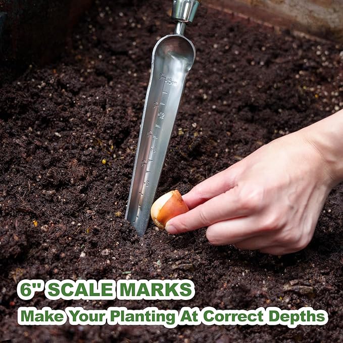 Haliaeetus Seeding Widger with 6'' Scale, Stainless Steel Planting Trowel for Repotting, Long and Narrow Widger for Weeding from Tight Areas, Hand Transplanter with Wood Handle for Planting, Digging