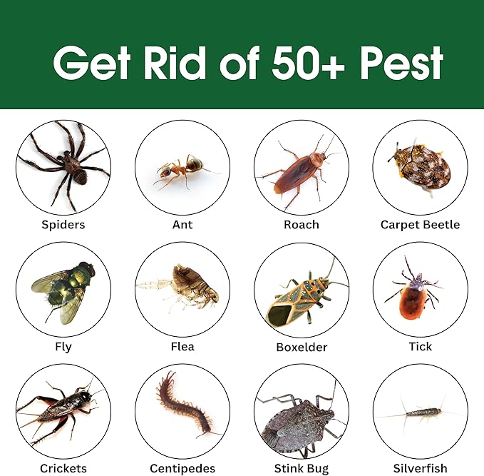 Insect & Pest Control Spray – Natural Essential - Bug Killer & Insect Repellent, Kills Ant, Spiders, Carpet Beetles, Roaches, Flies- Safe for Pets & Family, Indoor & Outdoor Use 16OZ