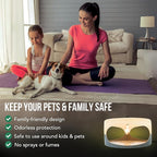 ASPECTEK Sticky Dome™ Flea Trap, Odorless Glue Trap with 2 Sticky Discs, Effective Bed Bug Killer and Flea and Tick Treatment, Indoor Insect Trap for Bugs, 1 Pack in White and Light Gray