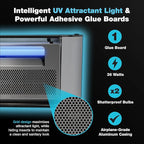 Catchmaster Vector Plasma One Trap, Compact UV Light Fly Traps for Home, Gnat Traps for House Indoor, Shatterproof Bulbs, UV Lamp Insect Killer, Silent Bug Light for Deli, Bars, Kitchen & Trash Rooms