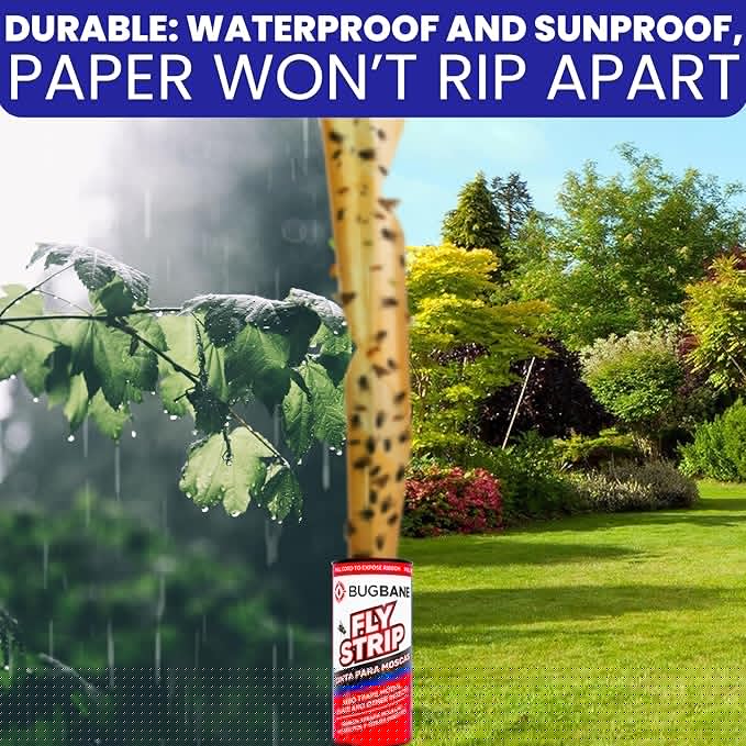 Fly Strips Indoor Sticky Hanging 24pk with Pins. Non Toxic Outdoor Fly Trap Indoor for Home. Flies Tape Paper Trap Ribbon Roll for House Gnat Fruit and Housefly. Bug Catchers for Inside Home Flypaper