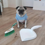 Libman Dust Pan and Brush Set | Portable Cleaning Brush | Mini Broom and Dustpan | Handheld | 2-Pack