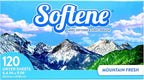 Mountain Fresh Dryer Sheets 120ct
