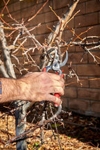 Corona Tools DualCUT Forged Steel Bypass Hand Pruner – 1″ Cutting Capacity Garden Pruning Shears for Branch & Stem Cutting