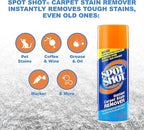 Spot Shot Professional Instant Carpet Stain Remover No-Scrub Aerosol, 14 oz