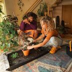 Planting Shovel and Brush. 2-in-1
