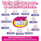 Quick 'n Brite Hard Water Stain Kit - 32oz All Purpose Cleaning Paste, Microfiber Towel, two Melamine Sponges, Scraper Tool