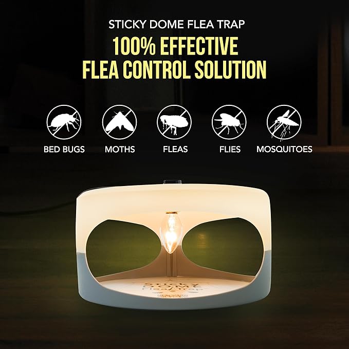 ASPECTEK Sticky Dome Flea Trap, Odorless Glue Trap with 2 Sticky Discs, Effective Bed Bug Killer and Flea and Tick Treatment, Indoor Insect Trap for Bugs, 2 Packs in White and Light Gray