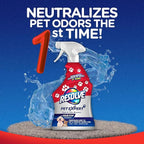 Resolve® - Spot & Stain Carpet Cleaner 32 oz. + Pet Expert Stain & Odor Remover 22 oz