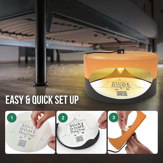ASPECTEK Sticky Dome Flea Trap, Odorless Glue Trap with 2 Sticky Discs, Effective Bed Bug Killer and Flea and Tick Treatment, Indoor Insect Trap for Bugs, 1 Pack in Orange and Dark Gray