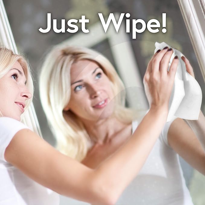Windex Glass and Multi-Surface Cleaning Wipes, 28 Count