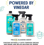 Aunt Fannie's Toy and Highchair Cleaner, Hypoallergenic, Multi-Purpose Spray Powered by Vinegar for Toys, High Chairs, Car Seats, Swings, Counters, and Other Hard Surfaces Fragrance Free, Pack of 1