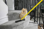 FURemover Original Pet Hair Rubber Broom with Squeegee, with 58” Telescopic Handle for Carpet, Tile and Hardwood and Scrub Cloth Combo