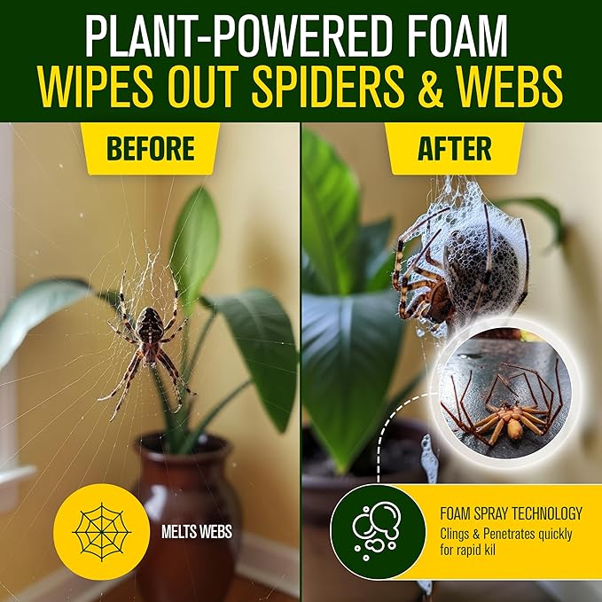 Green Guard Pest Control Spray - Indoor & Outdoor Killer of Ants, Roaches, Spiders & Other Crawling Insects, Safe Around Children & Pets, Plant-Based, Pleasant Scent (Peppermint Hit, 16oz)