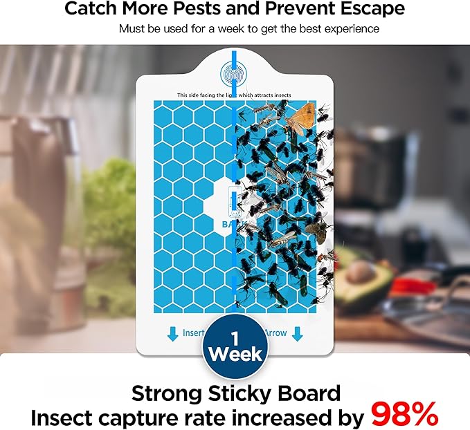 Fly Traps Indoors(1 Device+5 Refills), Gnat Traps for House Indoor, 3-in-1 UV/Blue/Yellow Light Plug-in Flying Insect Catcher Bug Zapper, Fruit Fly Killer, NAT Killer, Get Rid of Gnat Infestation
