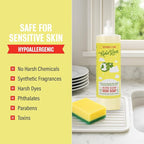Rebel Green Super Deluxe Dish Soap - Plant-Derived Sustainable Dishwashing Soap - Peppermint & Lemon Scent - 16 fl oz - 2 Pack