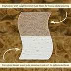 Plant-Based Kitchen Sponges (24 Pack) | USDA Biobased Certified | FSC & PETA Approved | Natural Cellulose & Coconut Scrubber Sponge | S-Shaped Design | Eco-Friendly, Non-Scratch, Non-Toxic & Vegan