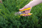 Dramm ColorPoint Stainless Steel Compact Garden Pruning Shears, Hand Pruner, Garden Clippers, with Heavy Duty Blade and Easy grip Handle, Berry